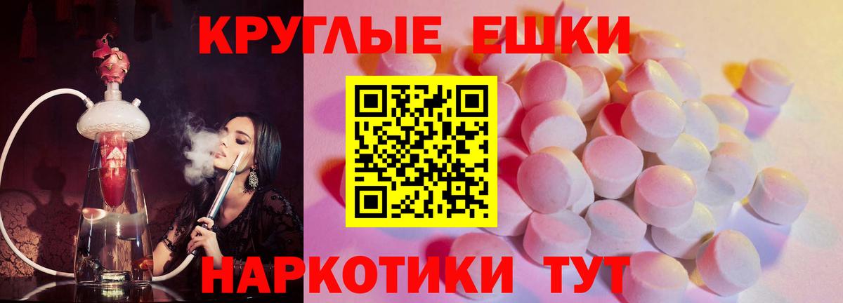 Ecstasy бентли Сокол