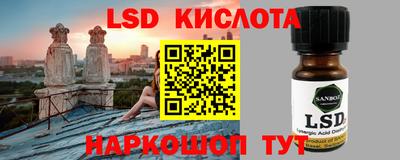 стаф Кинель