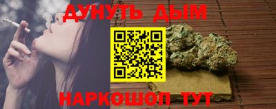 тгк Кингисепп