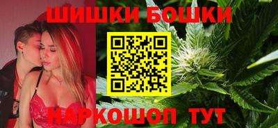 тгк Кингисепп