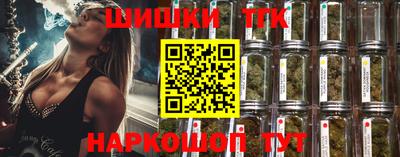 стаф Кинель