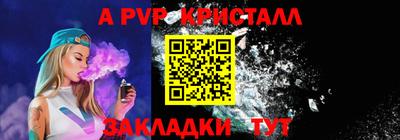 тгк Кингисепп