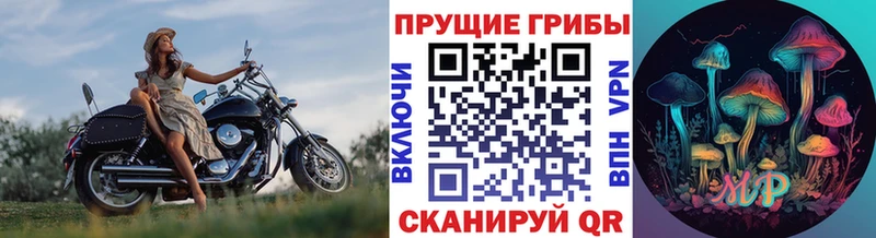Галлюциногенные грибы прущие грибы  наркошоп  Сокол 