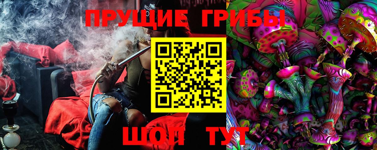 Галлюциногенные грибы Psilocybe  Вход с VPN  цены   Сокол  Псилоцибиновые грибы Psilocybine cubensis 