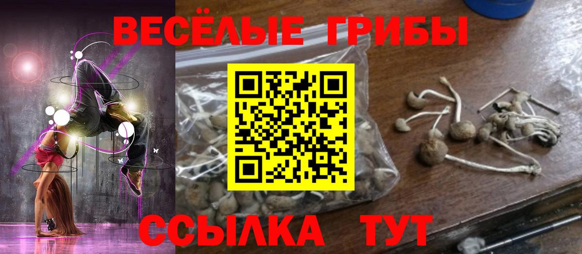 Галлюциногенные грибы Cubensis Сокол